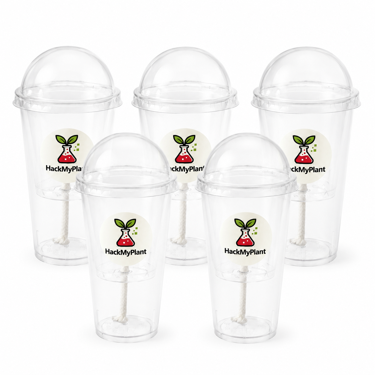Self-Watering Corm Cups / Pup Propagation Cups — 3 or 5 Pack