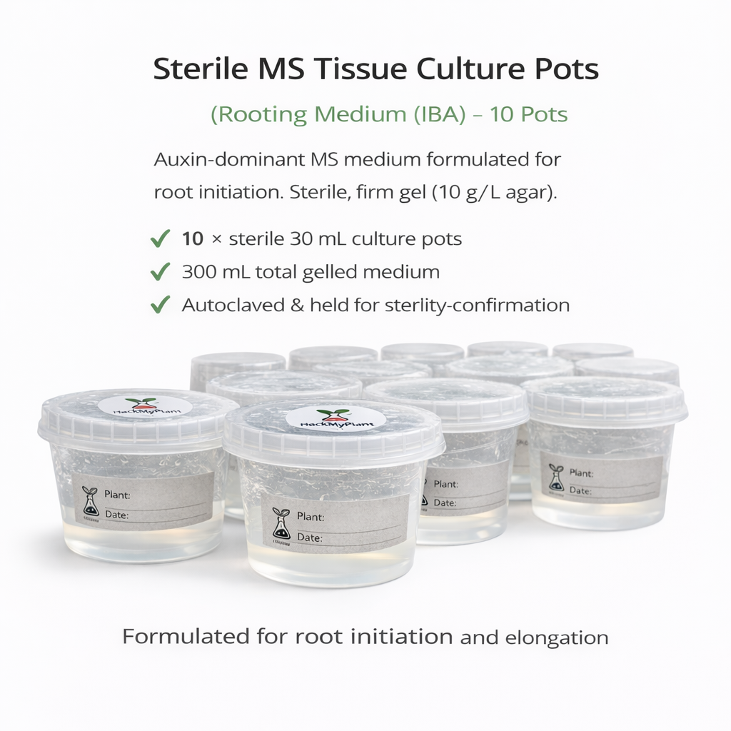 HackMyPlant Sterile MS Tissue Culture Pots – Rooting Medium (IBA) – 10 Pots