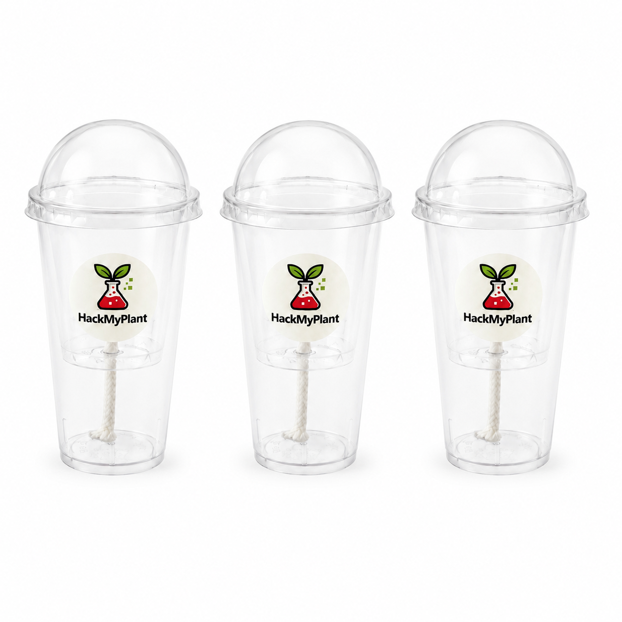 Self-Watering Corm Cups / Pup Propagation Cups — 3 or 5 Pack