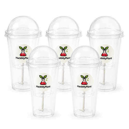 Self-Watering Corm Cups / Pup Propagation Cups — 3 or 5 Pack