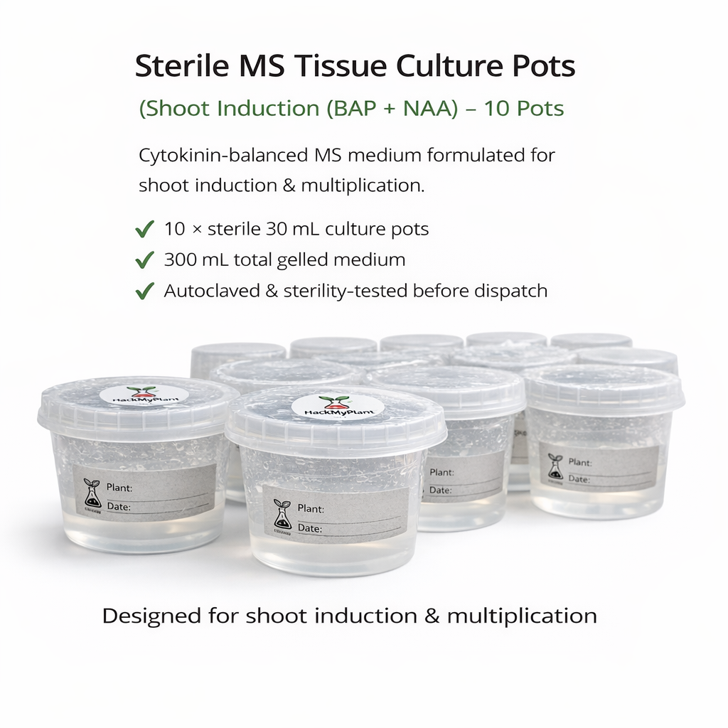 HackMyPlant Sterile MS Tissue Culture Pots – Shoot Induction (BAP + NAA) – 10 Pots