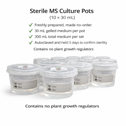 HackMyPlant Sterile MS Tissue Culture Pots (10 × 30 mL) – Basal Medium