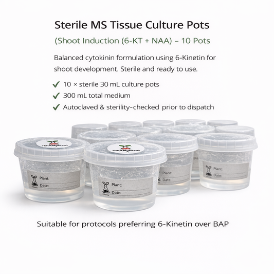 HackMyPlant Sterile MS Tissue Culture Pots – Shoot Induction (6-KT + NAA) – 10 Pots