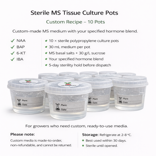 HackMyPlant Sterile MS Tissue Culture Pots – Custom Hormone Recipe – 10 Pots
