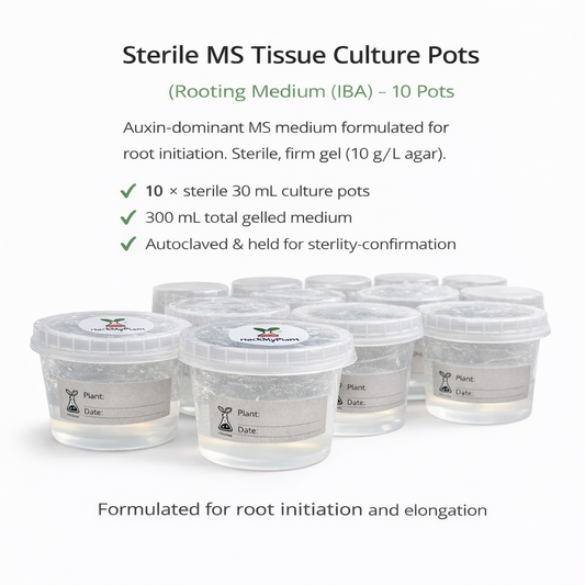 HackMyPlant Sterile MS Tissue Culture Pots – Rooting Medium (IBA) – 10 Pots