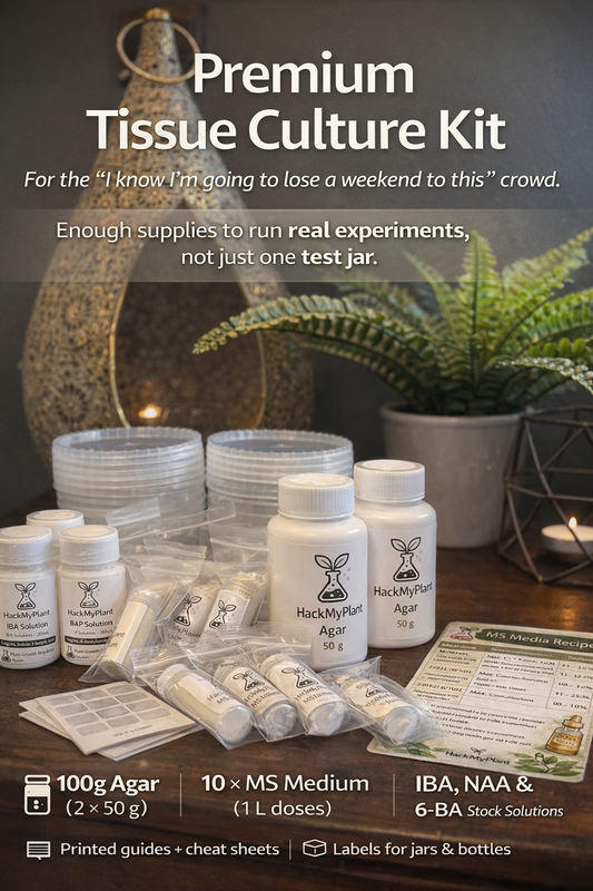 HackMyPlant Tissue Culture Starter Kit – Premium