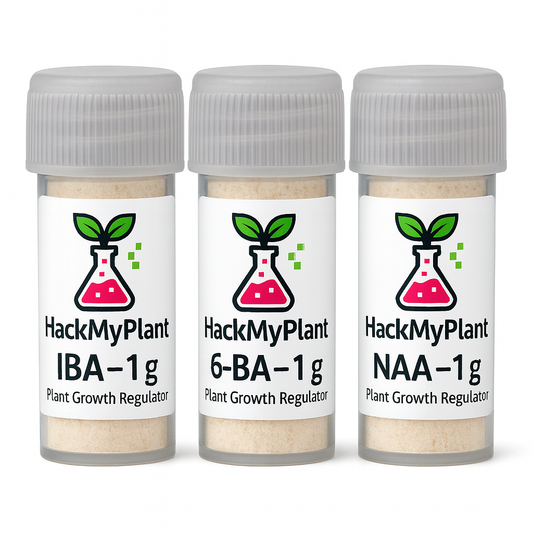 Lab-grade IBA, NAA and 6-BA powders in 1 g vials for DIY plant tissue culture. Ideal for home labs, cloning experiments and advanced propagation.